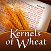 Kernels of Wheat Podcast