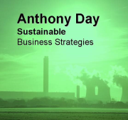 Sustainable Business Strategies
