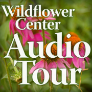 Wildflower Center Audio Tour