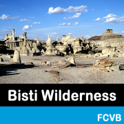 Bisti/De-Na-Zin Wilderness