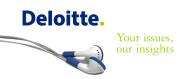 US Internet Marketing, Deloitte Services LP