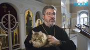 Man Blesses Cats at Russian Monastery Every Day