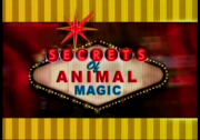 Secrets of Animal Magic