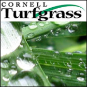 Cornell Turfgrass ShortCUTT podcast