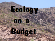 Ecology On A Budget