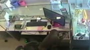 Monkey business: Watch a monkey rob a jewelry store