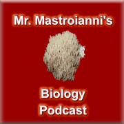 Mr. Mastroianni's Intro Bio Podcast