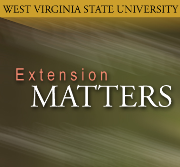 Extension Matters