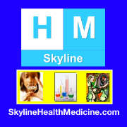 Skyline Health & Medicine Magnet