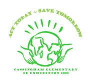 Cassingham IB Exhibition 2008