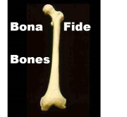 Bona Fide Bones
