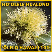 Ho‘olele Hualono HAW101