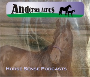 Andersen Acres Horse Sense Lessons