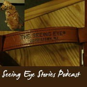 Seeing Eye Stories