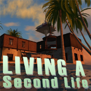 Living a Second Life