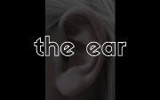 045 | Sensory Innervation of the Ear