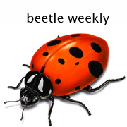 Beetle Weekly