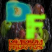Dimidium Fructus