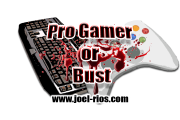 Pro Gamer or Bust