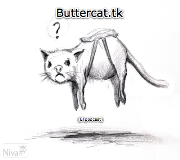Buttercat
