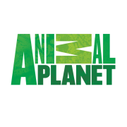 Animal Planet Video Podcast