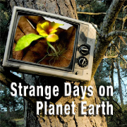 Strange Days On Planet Earth
