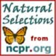 Natural Selections Podcast