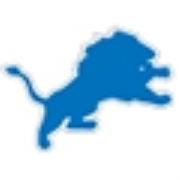 Detroit Lions OLD