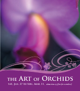 Missouri Botanical Garden Orchid Show 2007