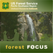 USFS Forest Focus