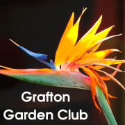 The Grafton Garden Club