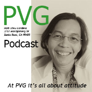 PVG Podcast