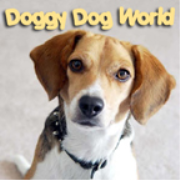 PetLifeRadio.com - It's A Doggy Dog World - All about dogs as pets & caring for your pet dog, on Pet Life Radio