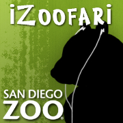 iZoofari Audio Tours at the San Diego Zoo