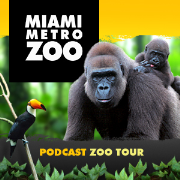 Miami Metrozoo Podcast