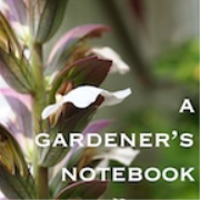 A Gardener's Notebook with Douglas E. Welch