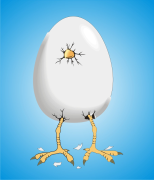 The Hatched Egg / Amy Furbee | Blog Talk Radio Feed