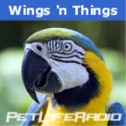 PetLifeRadio.com - WingsNThings - Birds & Parrots as Pets - All About Pet Birds on Pet Life Radio