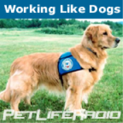 PetLifeRadio.com - Working Like Dogs - Service Dogs and Working Dogs  on Pet Life Radio