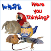 PetLifeRadio.com - What Were You Thinking - All about exotic pets & animals you can keep as a pet on Pet Life Radio.