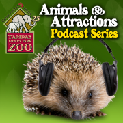 Tampa's Lowry Park Zoo Podcasts
