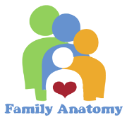 The Family Anatomy Podcast