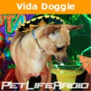PetLifeRadio.com - Vida Doggie - Start you and your dog’s day with a little Latin Flavor.    It’s one Spicy show on Pet Life Radio!