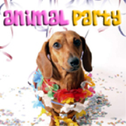 PetLifeRadio.com - Animal Party -  All About Animals!