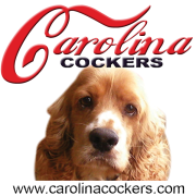 Carolina Cockers Rescue