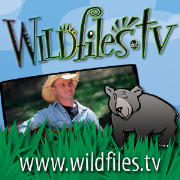 Wildfiles.tv Podcasts