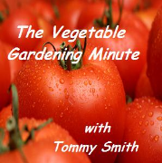 The Vegetable Gardening Minute