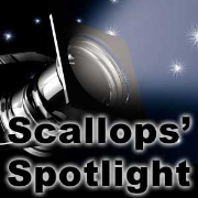 Scallops' Spotlight