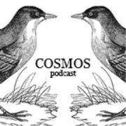 Cosmos