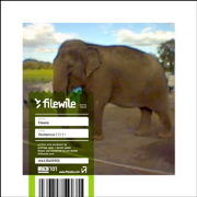 filewile.com - free mp3 downloads